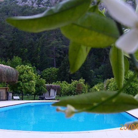 Portalimo Lodge Hotel - Adult Only +12 Cirali Exterior photo