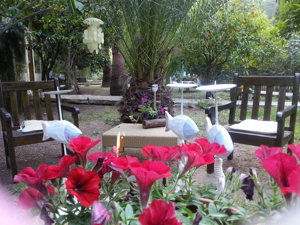 Portalimo Lodge Hotel - Adult Only +12 Cirali Exterior photo