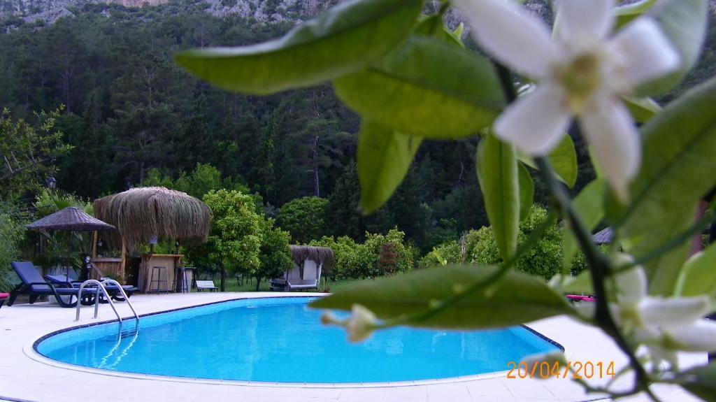 Portalimo Lodge Hotel - Adult Only +12 Cirali Exterior photo